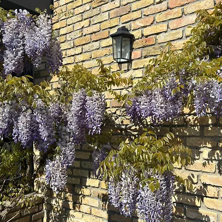 L'aiguade 4 * Hames-Boucres