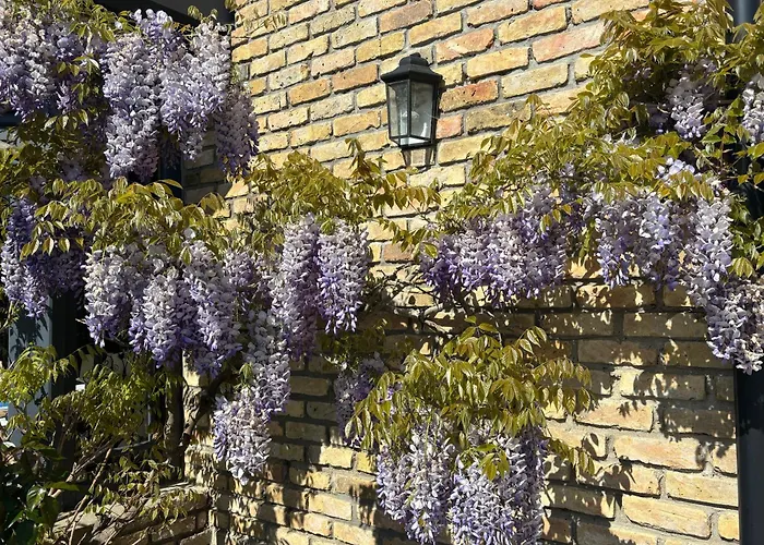 L'aiguade 4 * Hames-Boucres